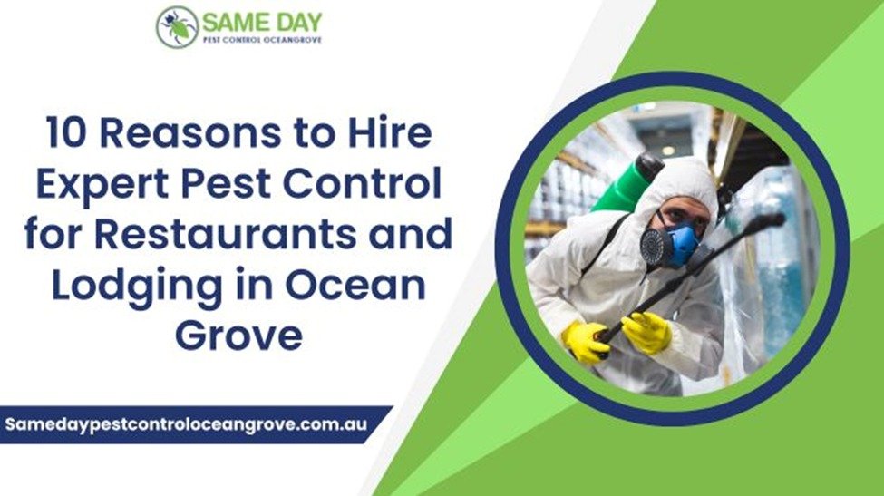 Pest Control in Ocean Groove